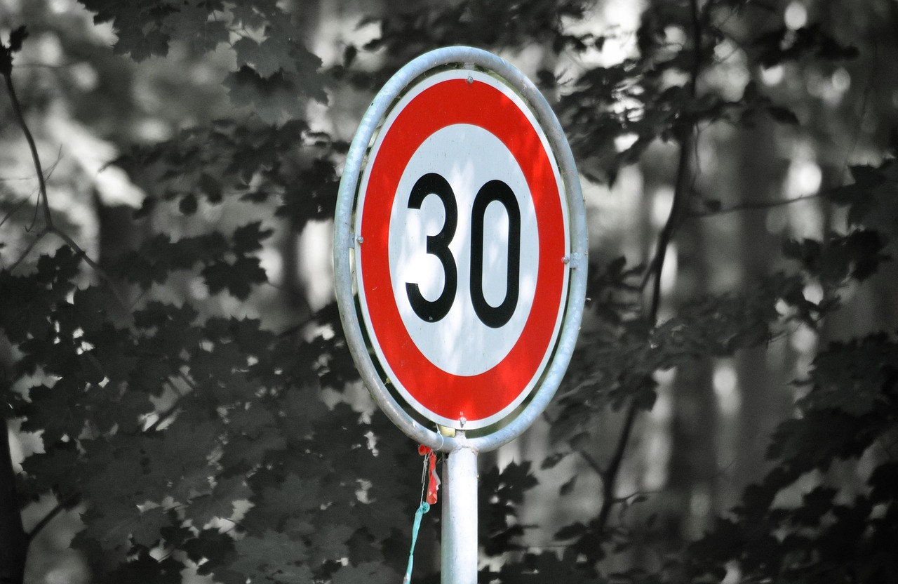 Speed ​​limit sign 30